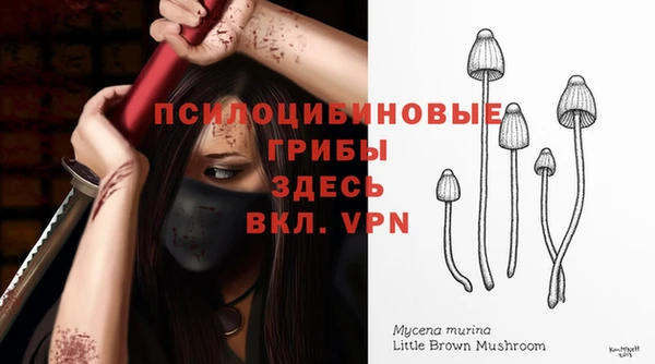 не бодяженный Аркадак